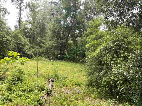 Tiny photo for 5050 Oleander Drive, Tallahassee, FL 32305 (MLS # 380629)