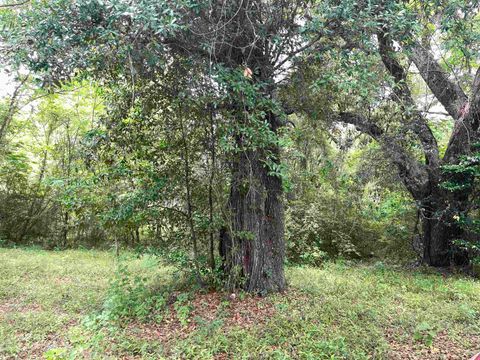 Tiny photo for 5050 Oleander Drive, Tallahassee, FL 32305 (MLS # 380629)