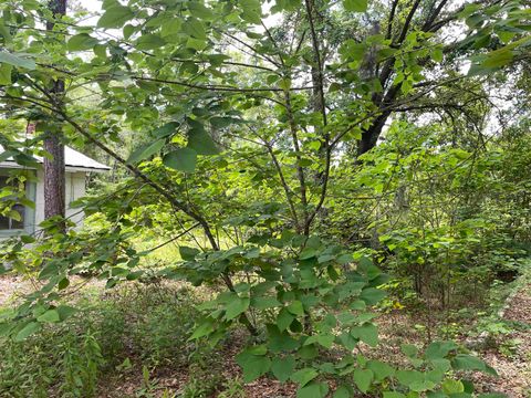 Tiny photo for 5050 Oleander Drive, Tallahassee, FL 32305 (MLS # 380629)