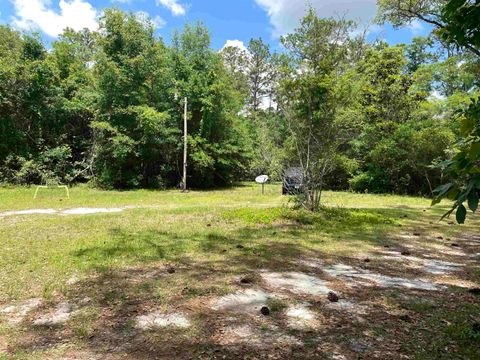 Tiny photo for 5050 Oleander Drive, Tallahassee, FL 32305 (MLS # 380629)