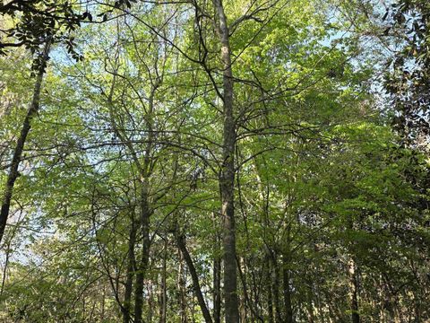 Tiny photo for Williams Landing Road #Lots 25,26,27,28,29, Tallahassee, FL 32310 (MLS # 392385)