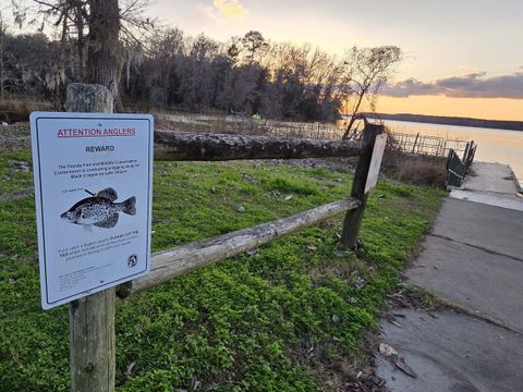 Tiny photo for Williams Landing Road #Lots 25,26,27,28,29, Tallahassee, FL 32310 (MLS # 392385)