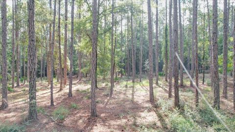 Tiny photo for 0 Saddle Rope Trail, Tallahassee, FL 32305 (MLS # 376874)