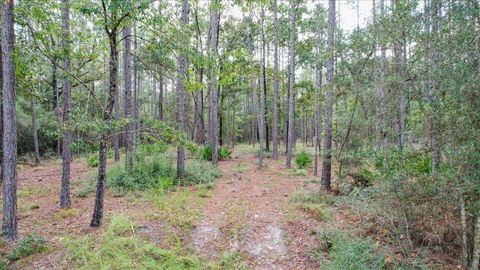 Tiny photo for 0 Saddle Rope Trail, Tallahassee, FL 32305 (MLS # 376874)