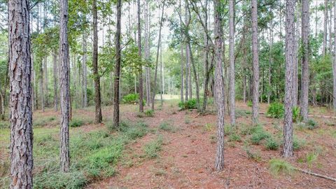 Tiny photo for 0 Saddle Rope Trail, Tallahassee, FL 32305 (MLS # 376874)