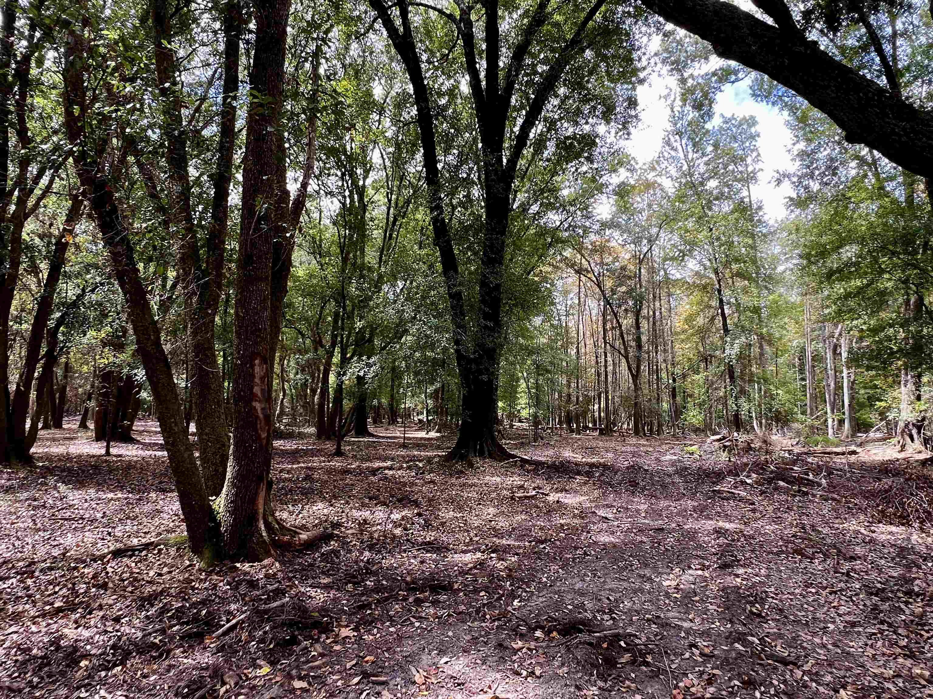 Photo 1 of 11 — Lot#4 Glory Road, Quincy, FL 32352