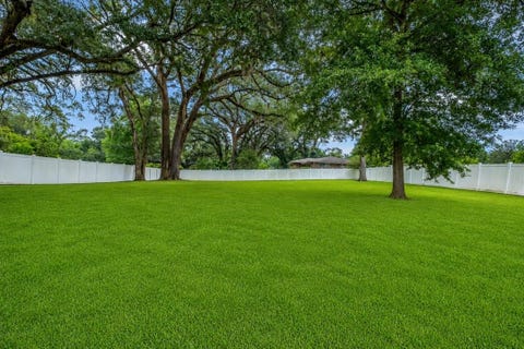 Tiny photo for 1507 Davis Drive, Tallahassee, FL 32317 (MLS # 401896)