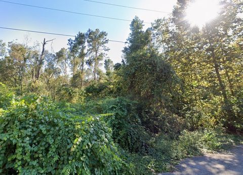 Photo of 00 Roger Hamlin Road, Tallahassee, FL 32311 (MLS # 399102)