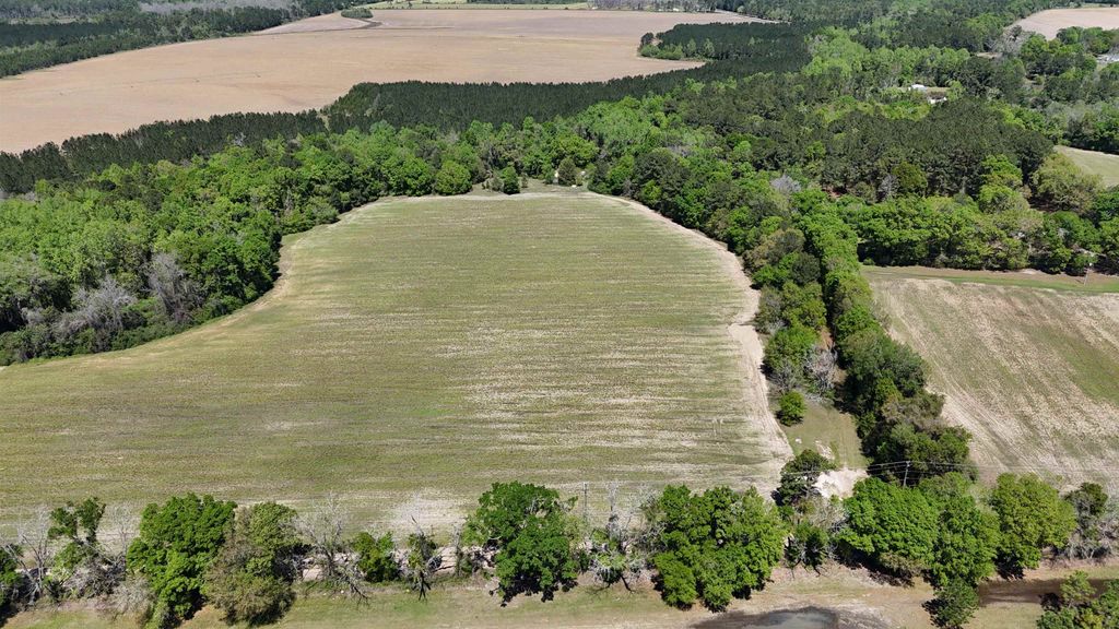 Photo of 1975 Rook Road, Other Georgia, GA 31773 (MLS # 399740)