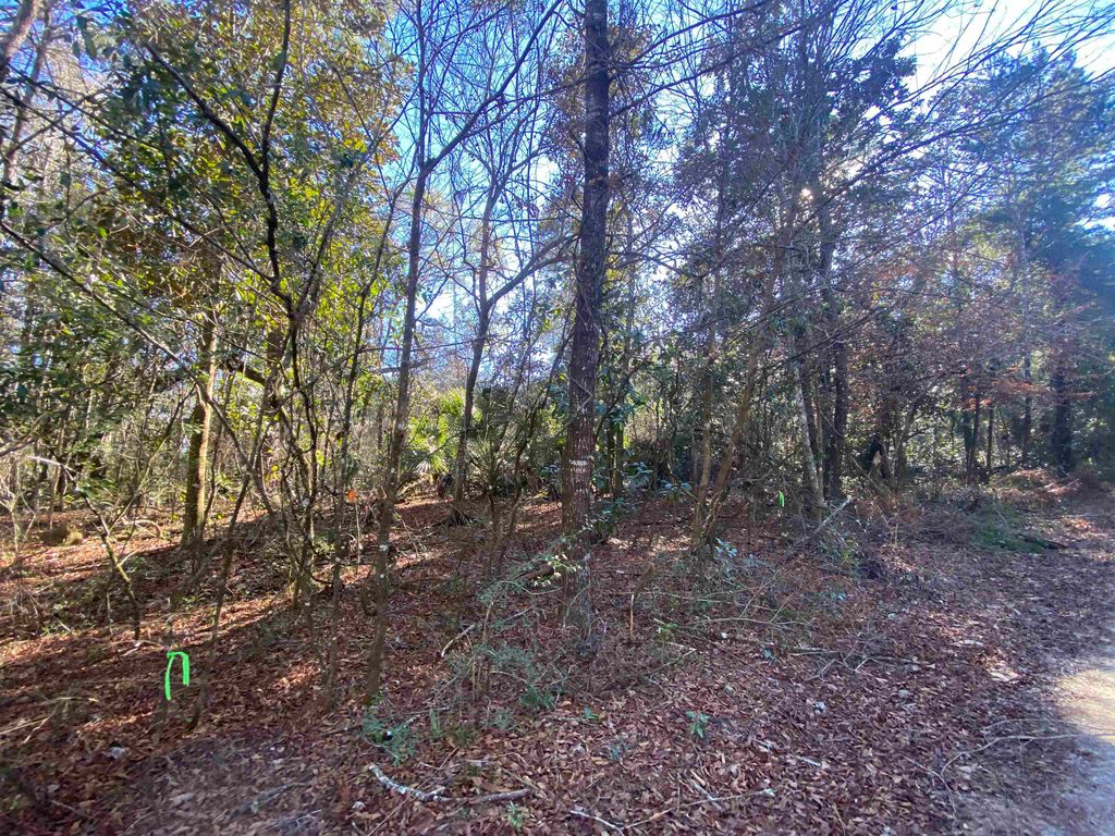 Photo of xxx J K Moore Road, Crawfordville, FL 32327 (MLS # 384998)
