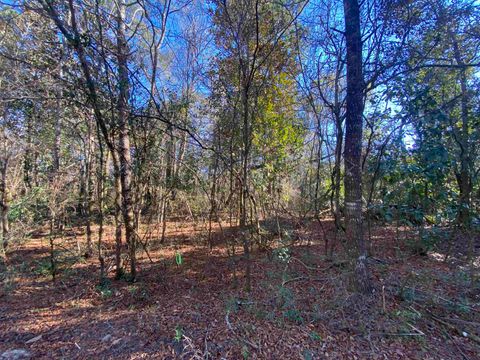 xxx J K Moore Road Crawfordville FL 32327