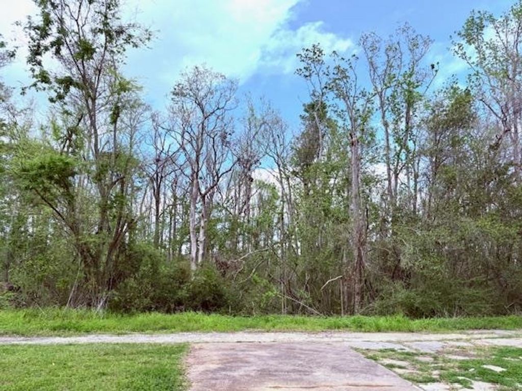 Photo of XXX SW Ray Charles Avenue, Greenville, FL 32331 (MLS # 384427)
