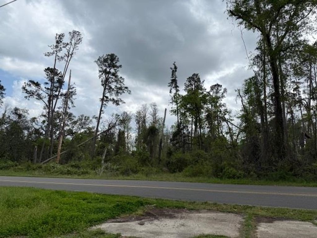 Photo of XXX SW Ray Charles Avenue, Greenville, FL 32331 (MLS # 384427)