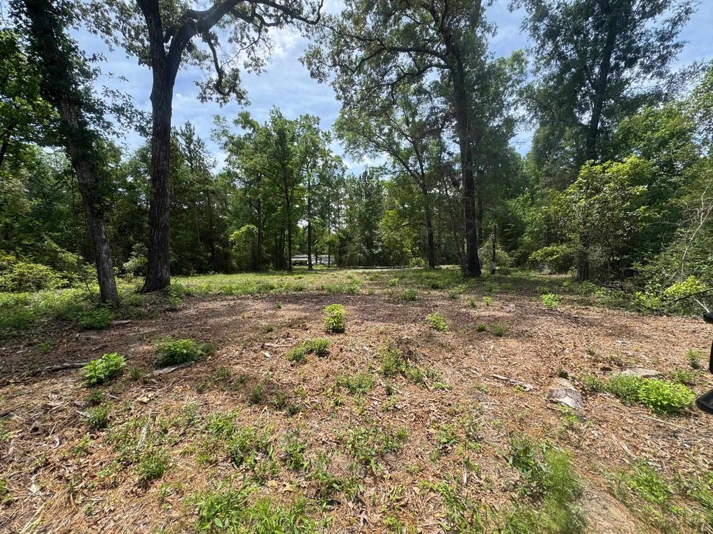 Photo of 185 Mcmahan Road, Crawfordville, FL 32327 (MLS # 391130)