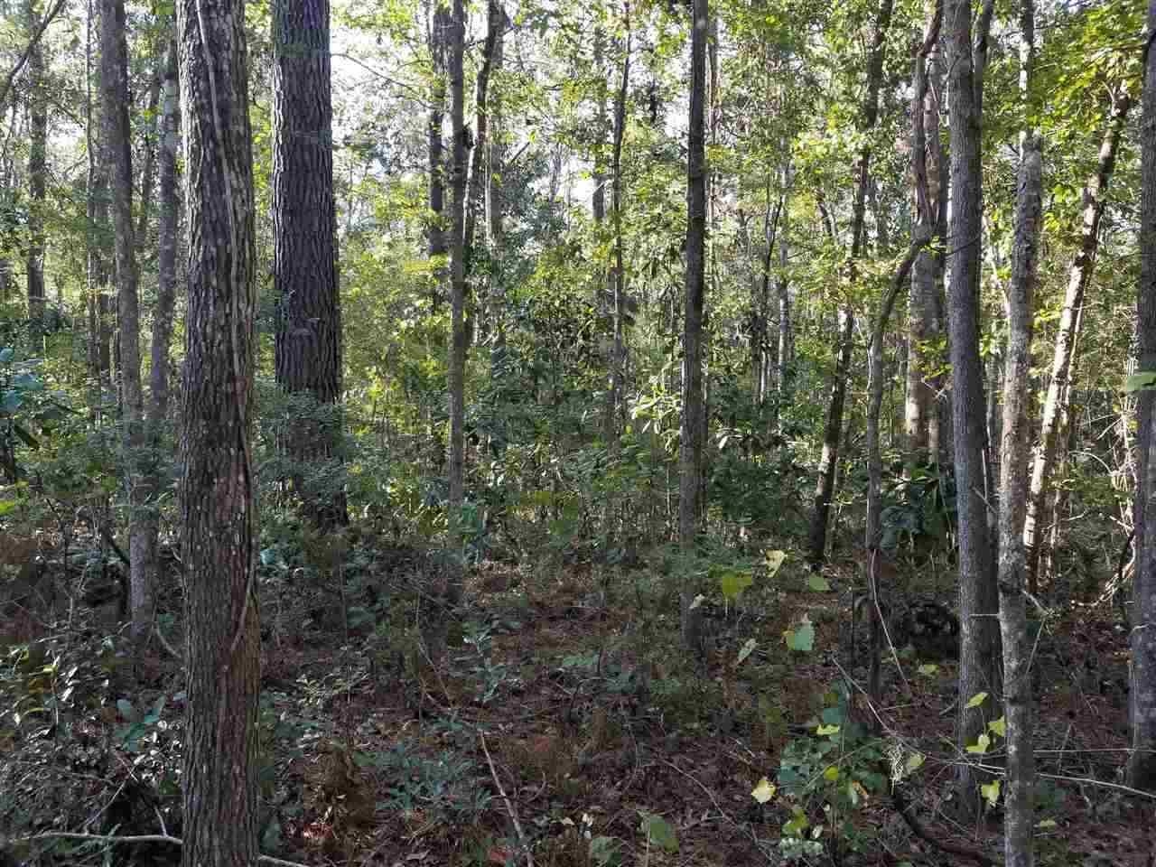 TBD Cripple Creek Road, Havana, FL 32333 | MLS 340782 | Listing ...