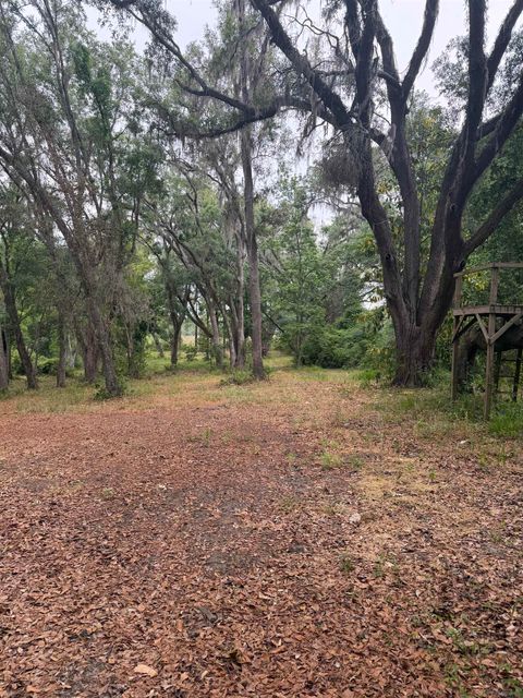Tiny photo for 521 NE Cherry Lake Circle, Madison, FL 32340 (MLS # 399434)
