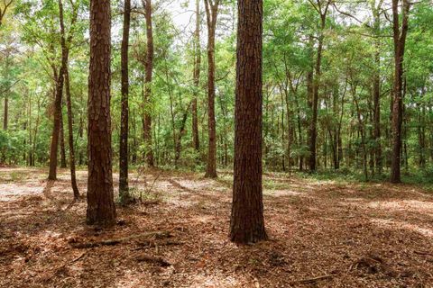 Tiny photo for 2.97ac BIRD SONG Trail, Tallahassee, FL 32309 (MLS # 398427)