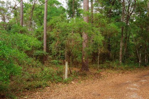 Tiny photo for 2.97ac BIRD SONG Trail, Tallahassee, FL 32309 (MLS # 398427)