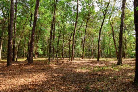 Tiny photo for 2.97ac BIRD SONG Trail, Tallahassee, FL 32309 (MLS # 398427)