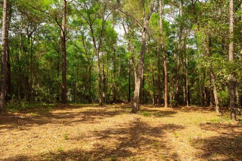 Tiny photo for 2.97ac BIRD SONG Trail, Tallahassee, FL 32309 (MLS # 398427)