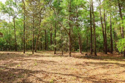 Tiny photo for 2.97ac BIRD SONG Trail, Tallahassee, FL 32309 (MLS # 398427)