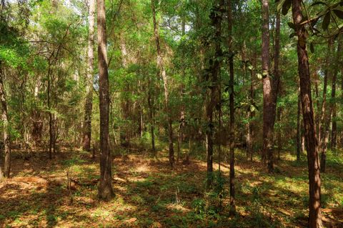 Tiny photo for 2.97ac BIRD SONG Trail, Tallahassee, FL 32309 (MLS # 398427)