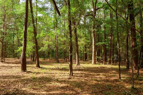 Tiny photo for 2.97ac BIRD SONG Trail, Tallahassee, FL 32309 (MLS # 398427)