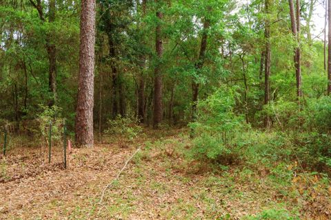Tiny photo for 2.97ac BIRD SONG Trail, Tallahassee, FL 32309 (MLS # 398427)