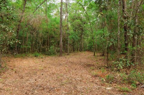 Tiny photo for 2.97ac BIRD SONG Trail, Tallahassee, FL 32309 (MLS # 398427)