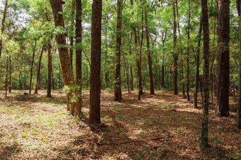 Tiny photo for 2.97ac BIRD SONG Trail, Tallahassee, FL 32309 (MLS # 398427)