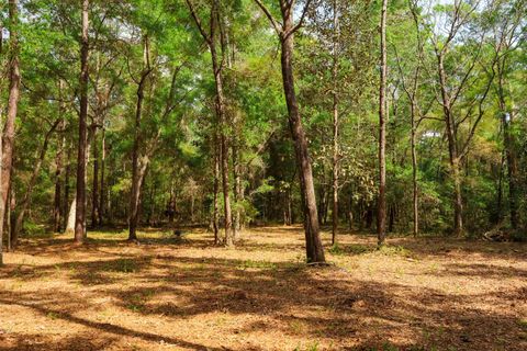 Tiny photo for 2.97ac BIRD SONG Trail, Tallahassee, FL 32309 (MLS # 398427)