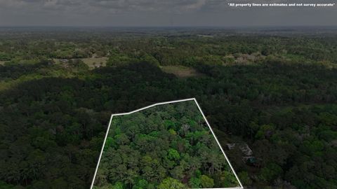 Tiny photo for 2.97ac BIRD SONG Trail, Tallahassee, FL 32309 (MLS # 398427)
