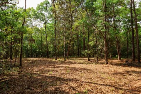 Tiny photo for 2.97ac BIRD SONG Trail, Tallahassee, FL 32309 (MLS # 398427)