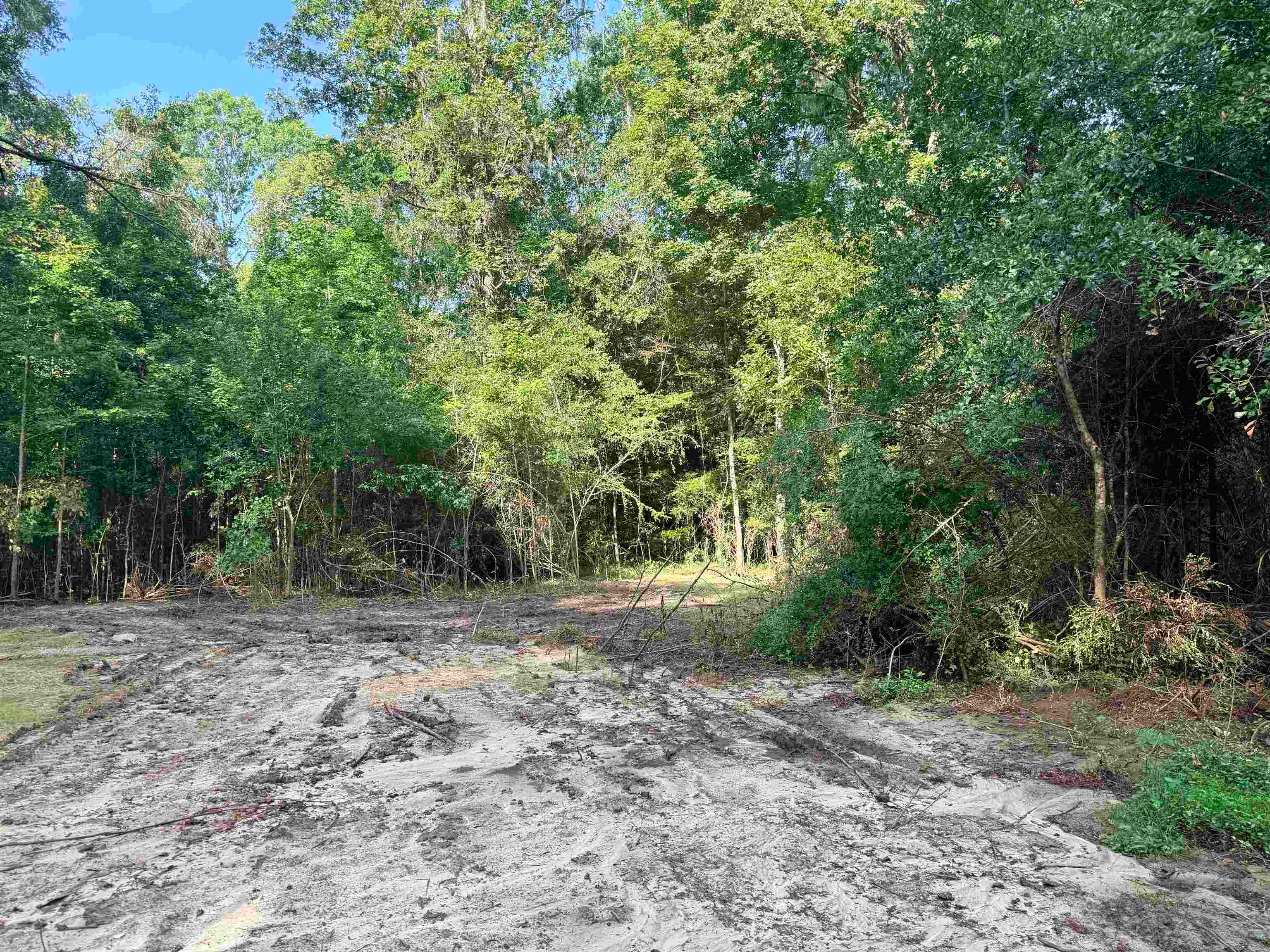 349 Green Oaks Road