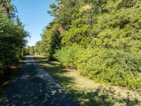 Tiny photo for FARAWAY FARM Road, Tallahassee, FL 32317 (MLS # 392634)