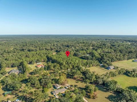 Tiny photo for FARAWAY FARM Road, Tallahassee, FL 32317 (MLS # 392634)