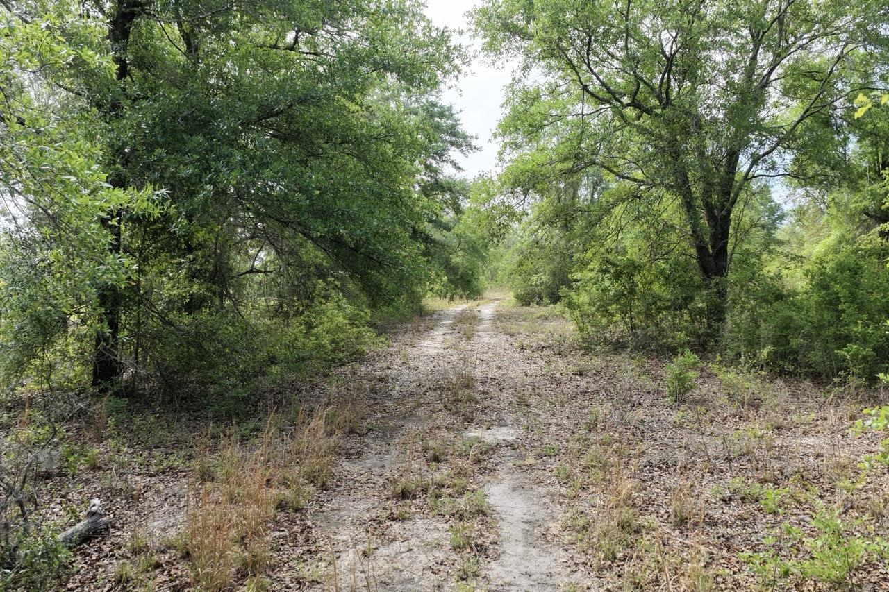 Photo 1 of 34 — Vacant NE Cedar Trail, Pinetta, FL 32331