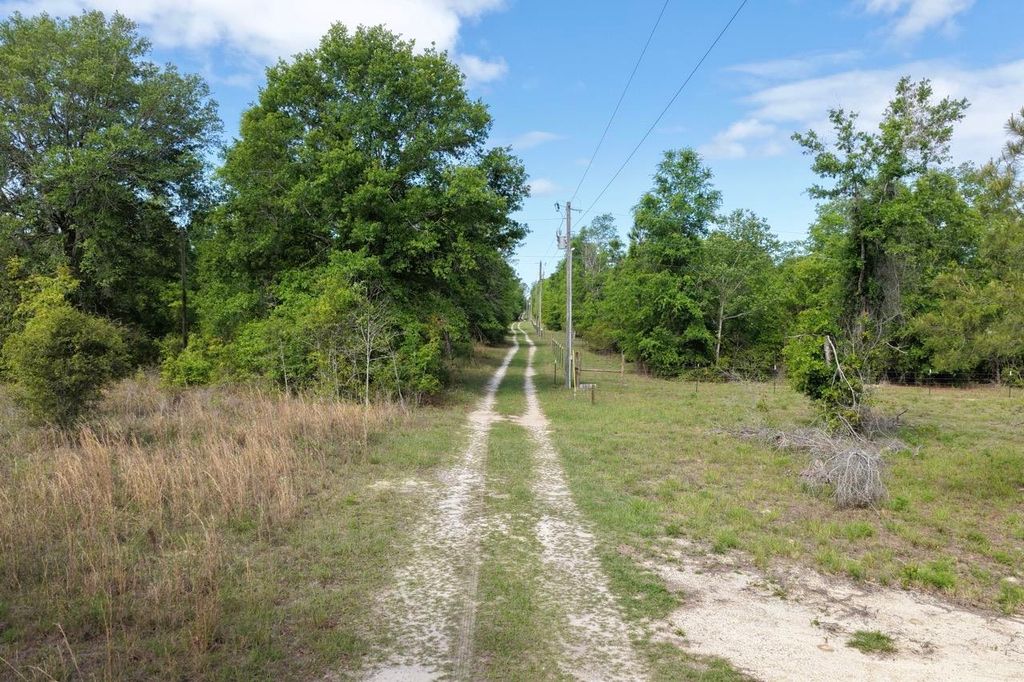 Photo of Vacant NE Cedar Trail, Pinetta, FL 32350 (MLS # 398547)