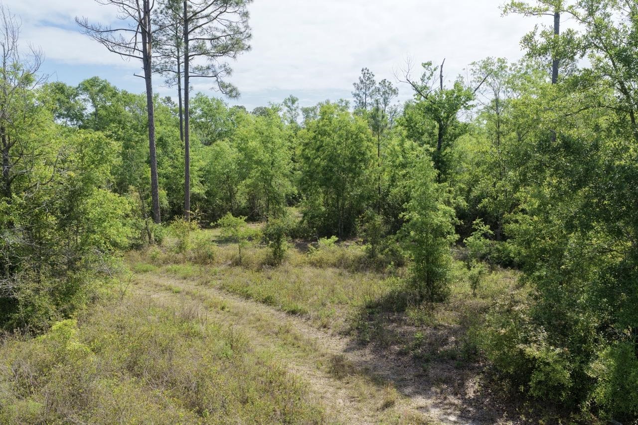 Vacant NE Cedar Trail