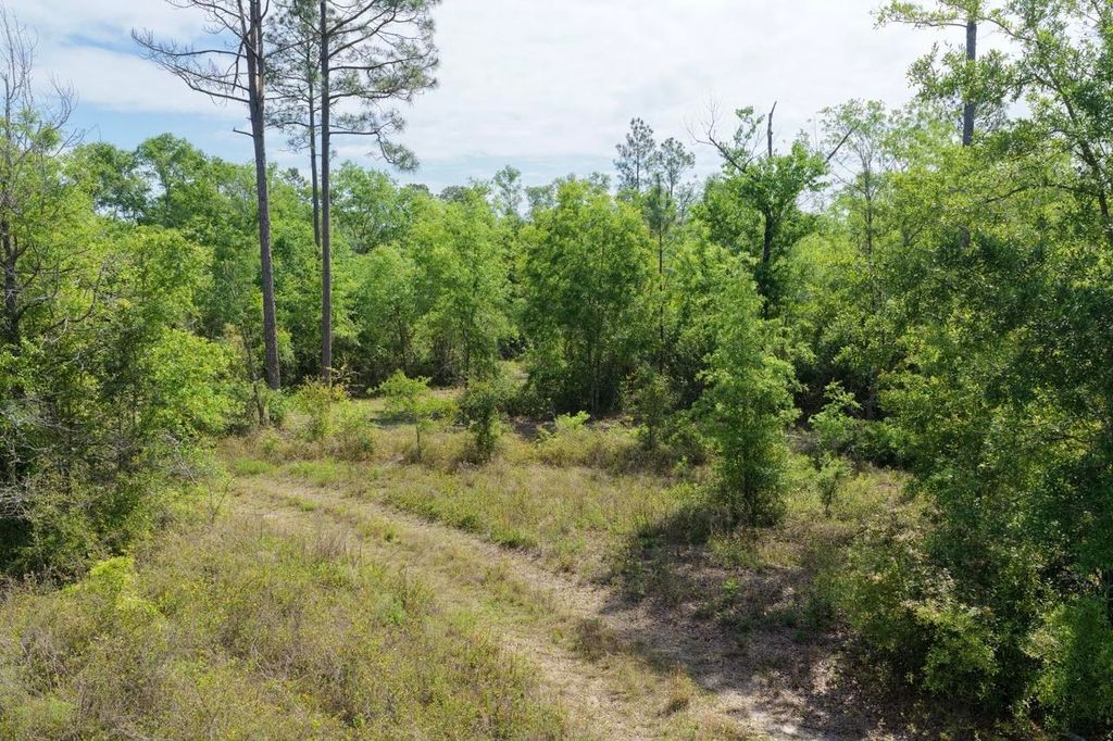 Photo of Vacant NE Cedar Trail, Pinetta, FL 32350 (MLS # 398547)