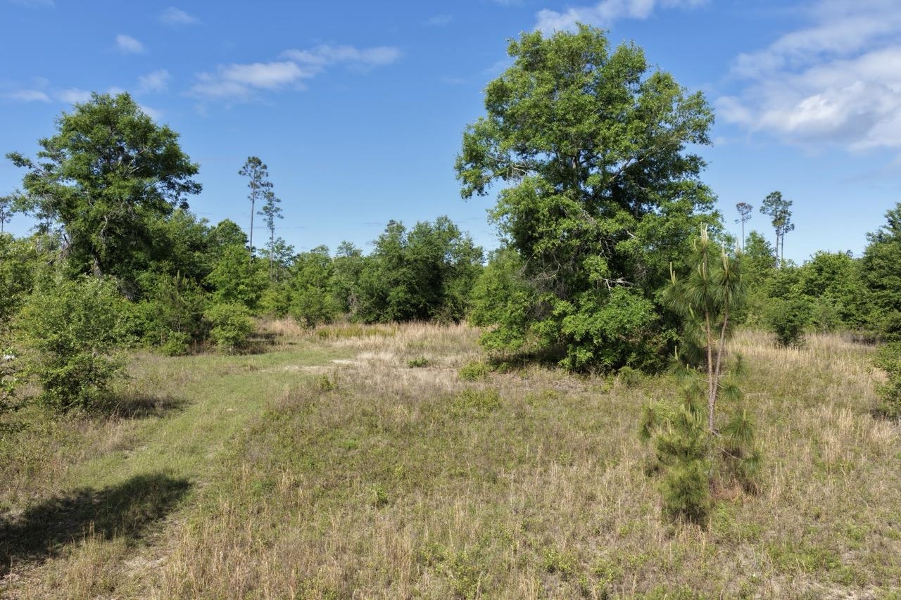 Vacant NE Cedar Trail