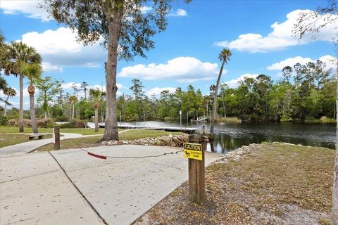Tiny photo for 1226 NE Rivers Bend Way, Steinhatchee, FL 32359 (MLS # 398045)