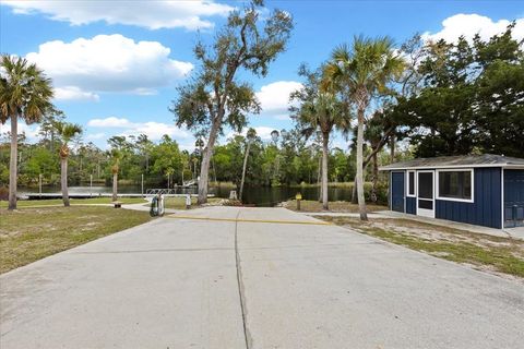 Tiny photo for 1226 NE Rivers Bend Way, Steinhatchee, FL 32359 (MLS # 398045)