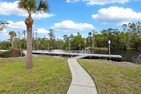 Tiny photo for 1226 NE Rivers Bend Way, Steinhatchee, FL 32359 (MLS # 398045)