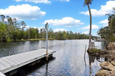 Tiny photo for 1226 NE Rivers Bend Way, Steinhatchee, FL 32359 (MLS # 398045)