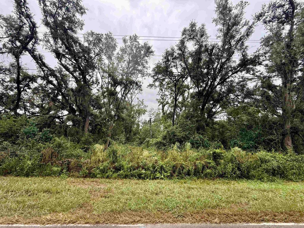 Photo of TBD 104th Street, Live Oak, FL 32060 (MLS # 392358)
