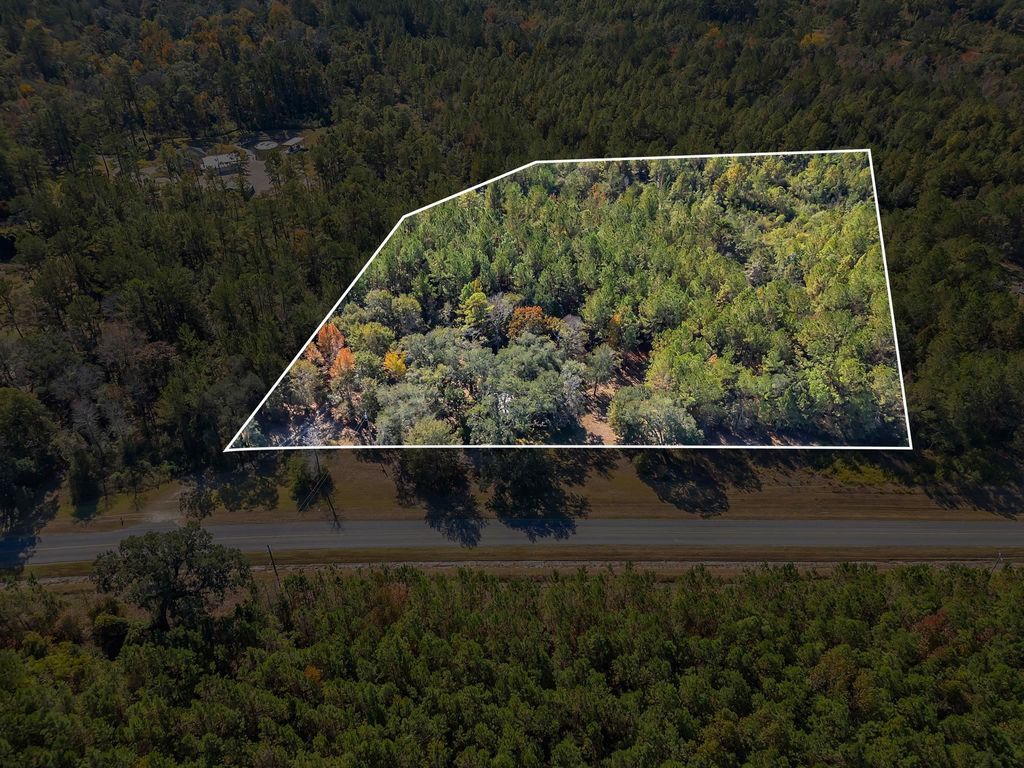 Photo of 2503 Rabon Road, Monticello, FL 32344 (MLS # 393453)