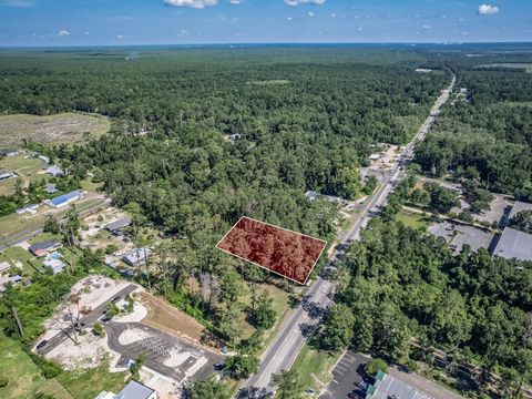 Tiny photo for XX Woodville Highway, Tallahassee, FL 32305 (MLS # 388847)