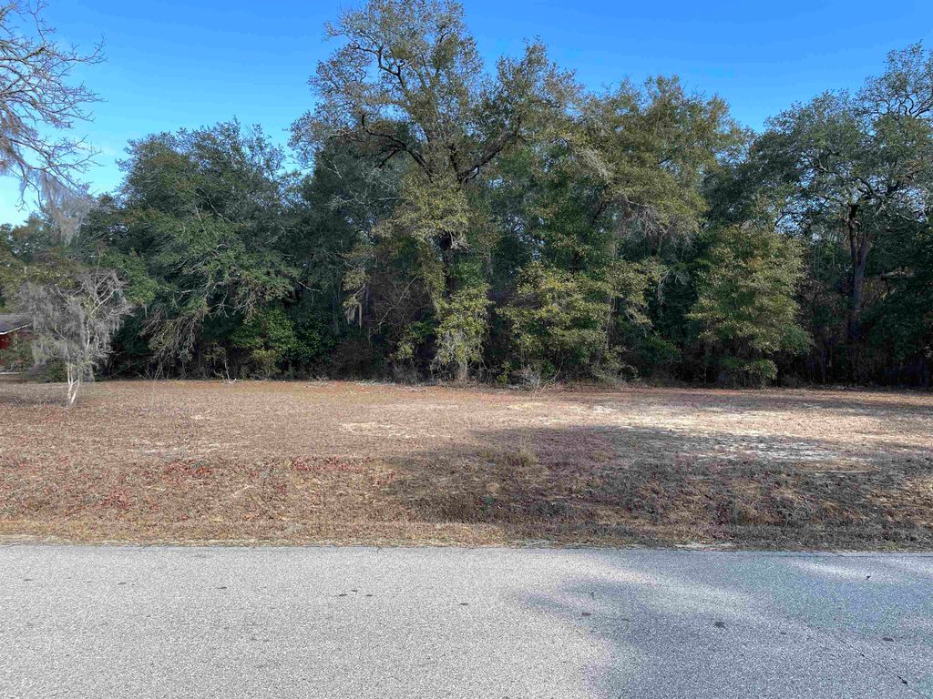Photo of xxx Reynolds Road, Quincy, FL 32351 (MLS # 395732)