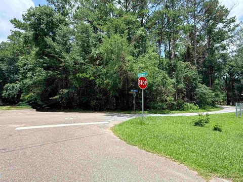 Tiny photo for 6820 Bird Song Trail, Tallahassee, FL 32309 (MLS # 402758)